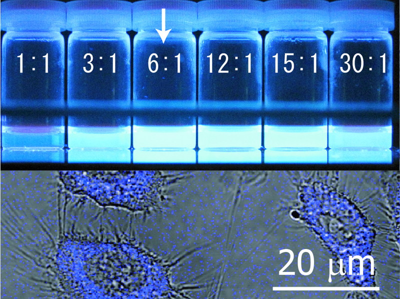 Nano Biophotonics Visit this laboratory